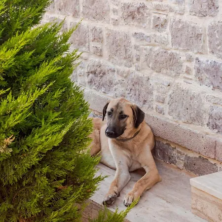 Rustic Stone House With Spacious Terrace 2br Tatil Evi